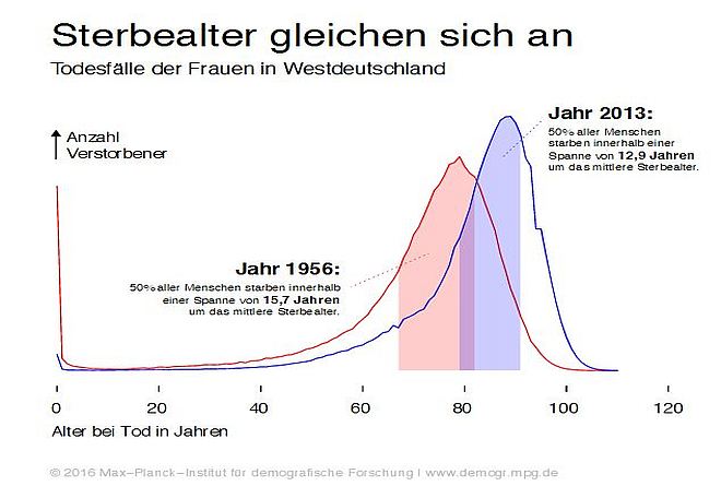 Mit dem Sterbealter steigt die Lebensspanne