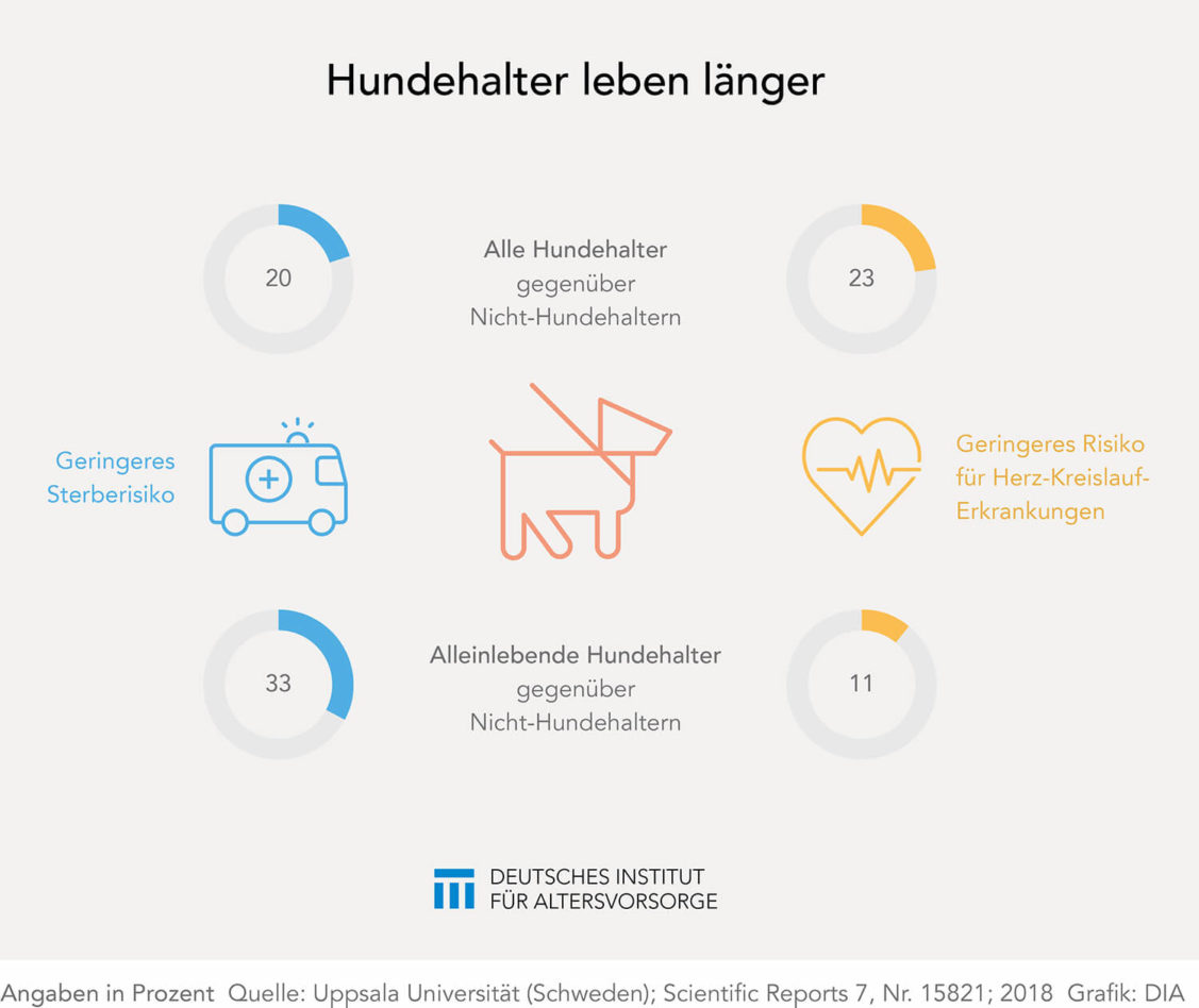 Lebenserwartung Hundehalter
