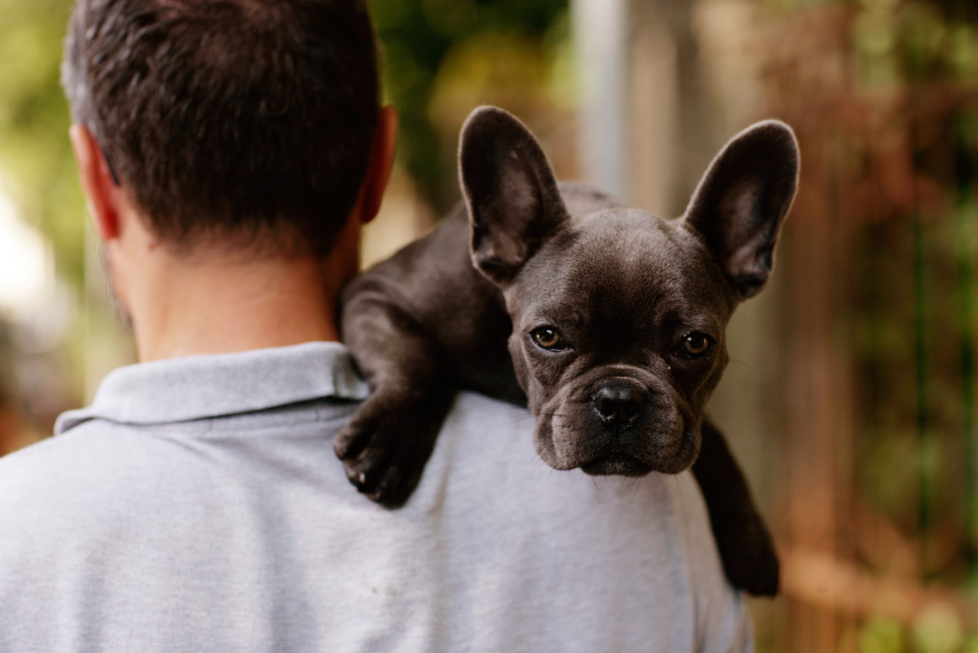 Hund und Herrchen