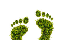 nachhaltige Investments